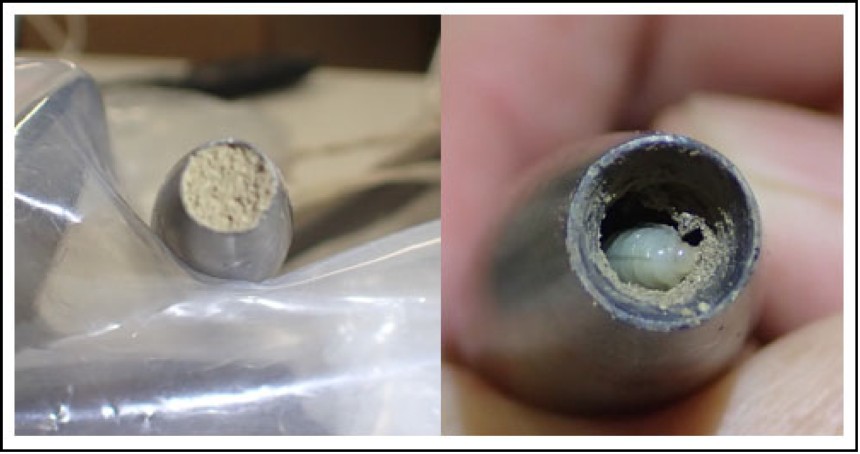 Bugs block pitot probes