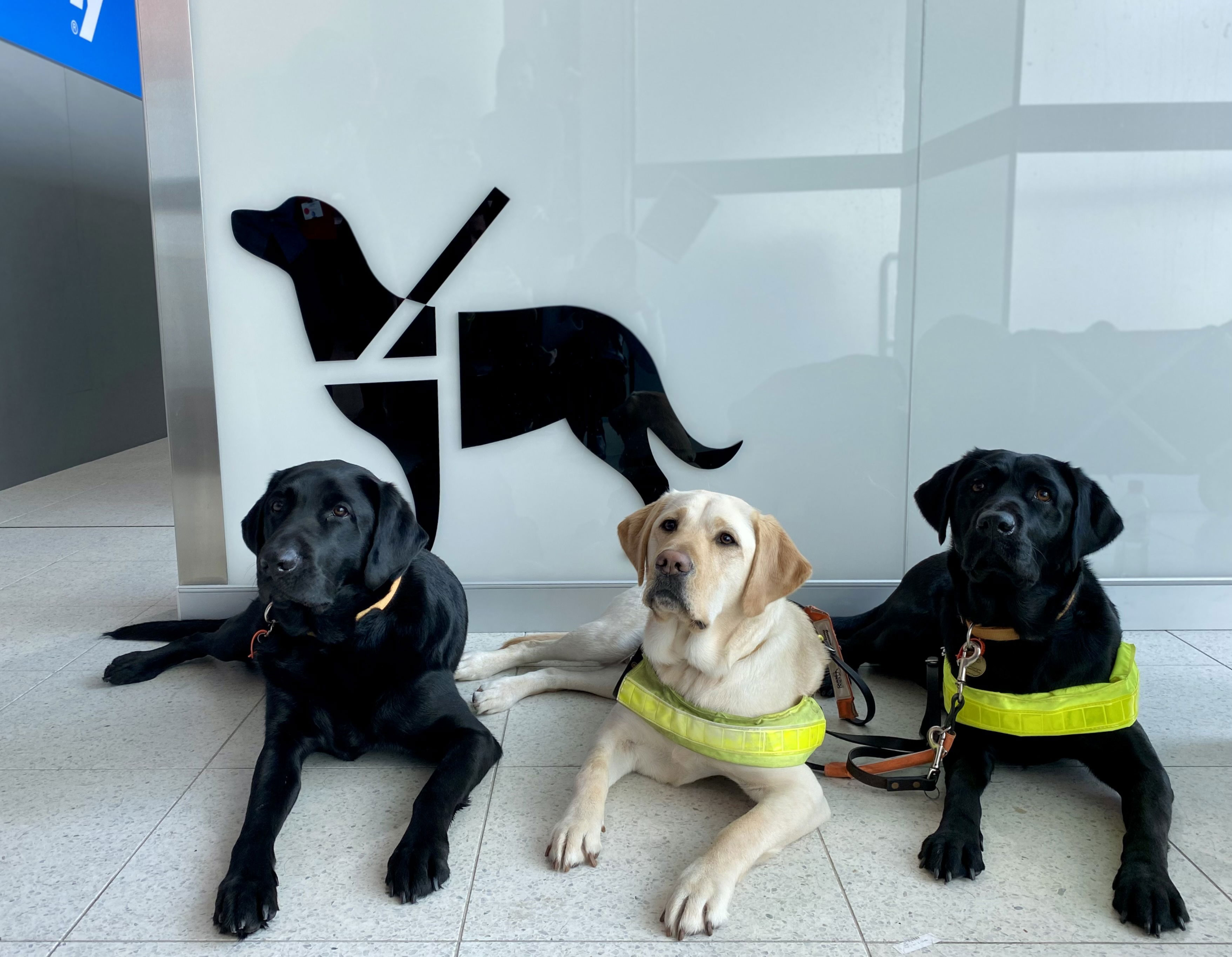 El aeropuerto de Perth añade nuevas zonas de alivio para los animales de servicio