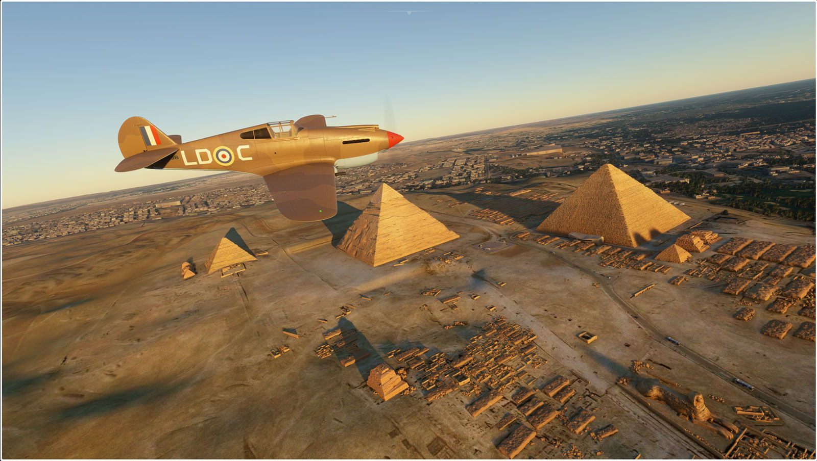 Big Radials P-40 Tomahawk Available on OrbxDirect