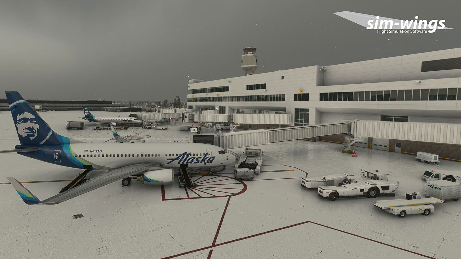 sim-wings Anchorage Now Available