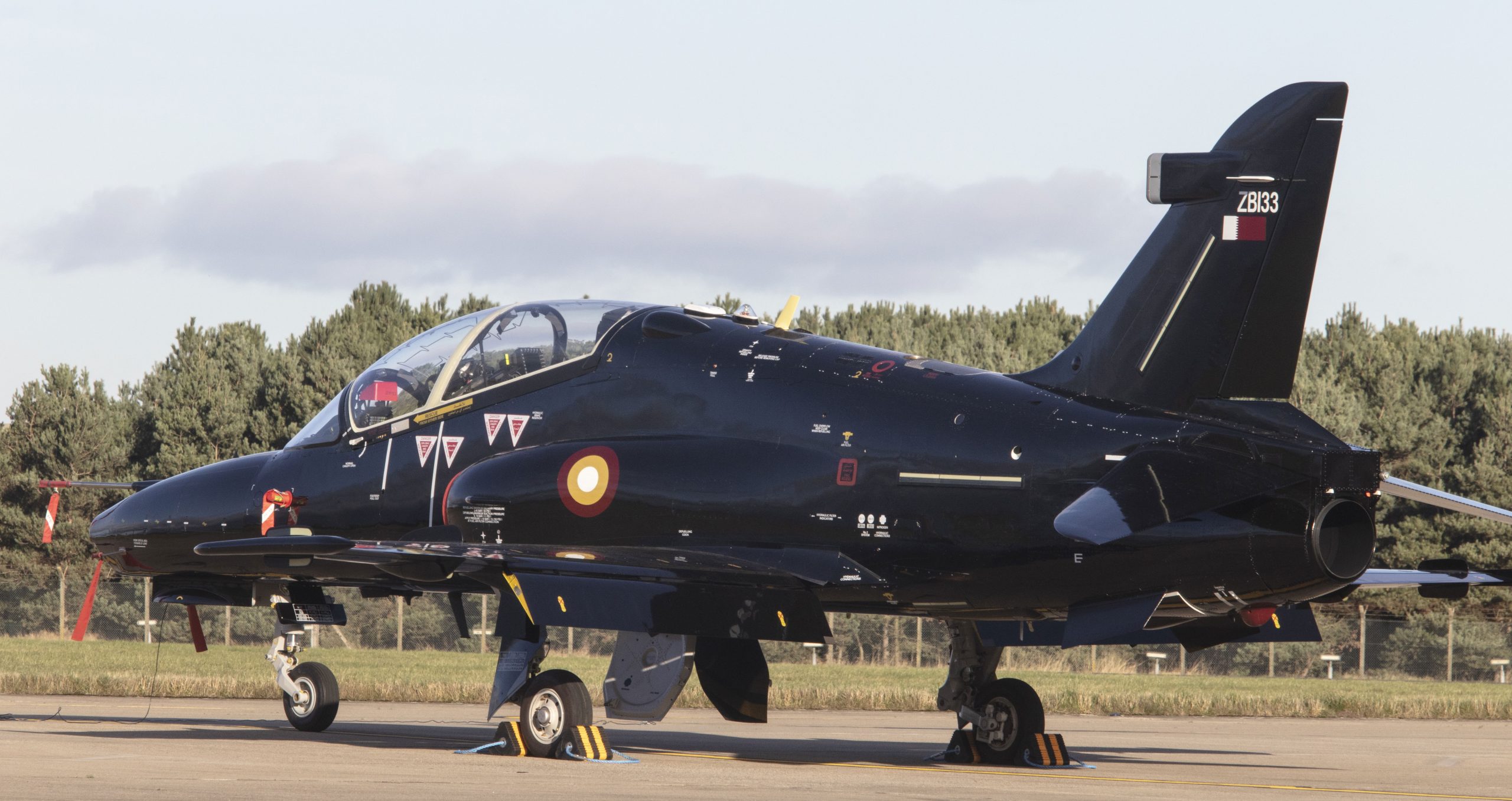 Identity revealed for joint QEAF-British Hawk unit