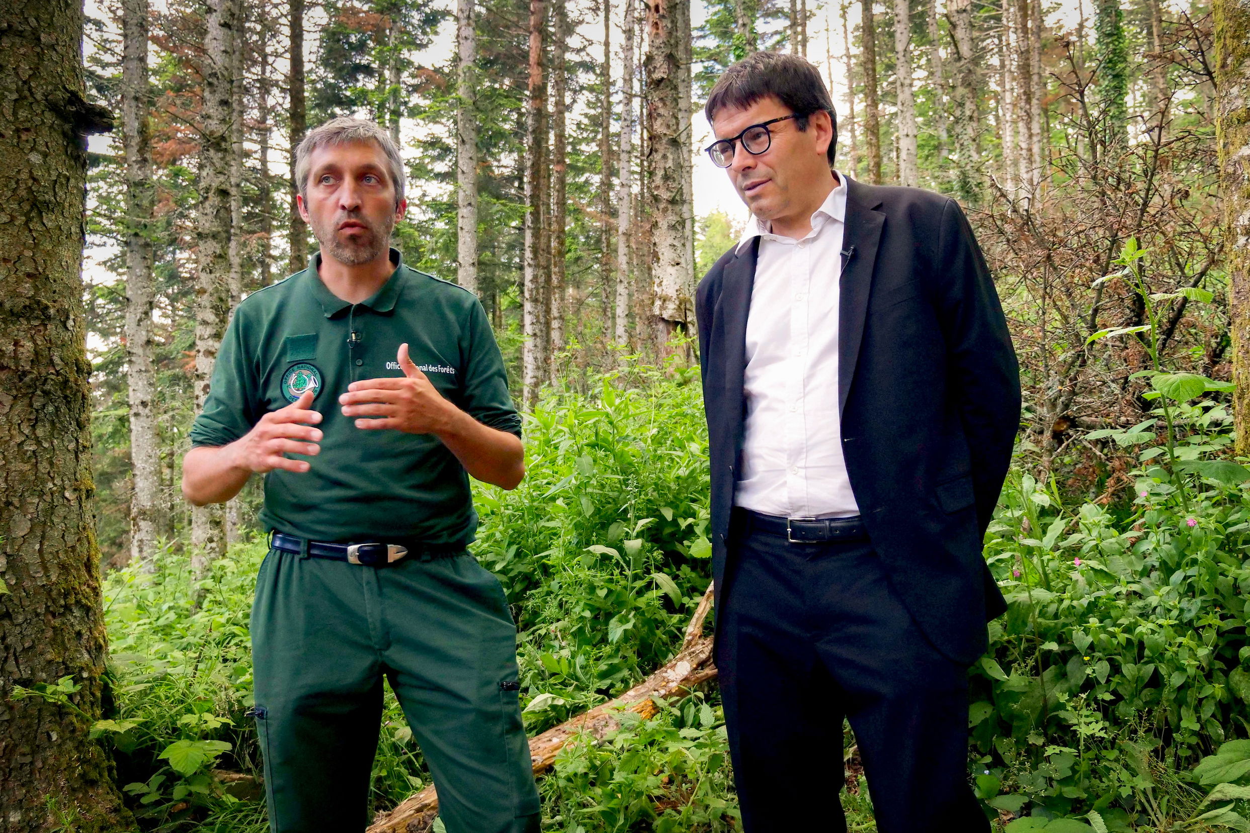 VINCI inicia un proyecto de reforestación